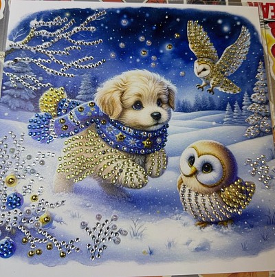 Diamond painting and Crafts